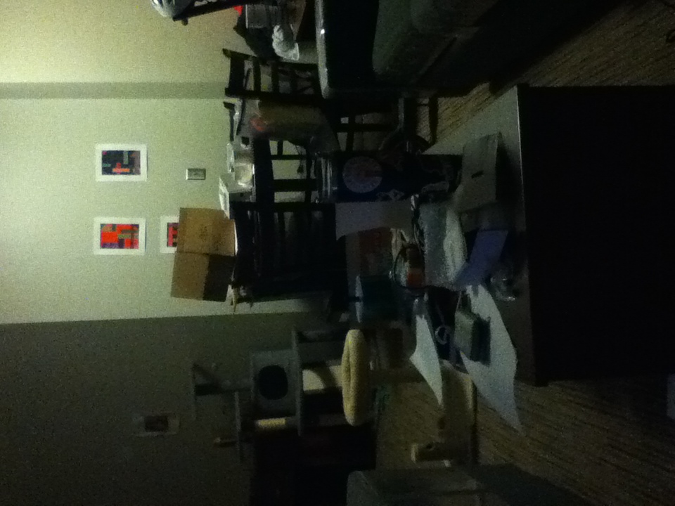 The living room of my apartment in dim lightning: a cluttered coffee table, a cat tree, a dining table with a cardboard box on it, and two prints on the wall